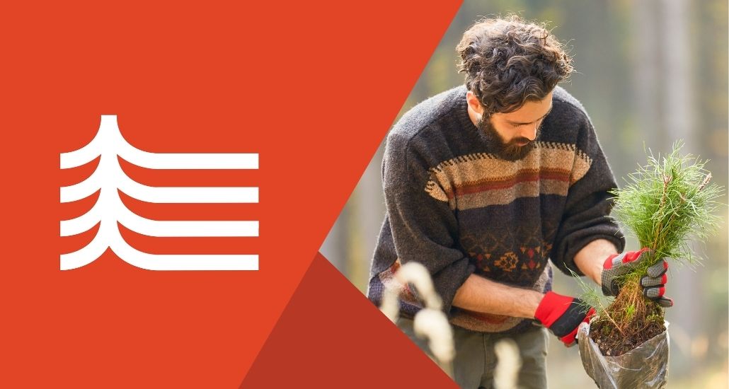 Nathan Mortgage Plants Trees for the Holidays